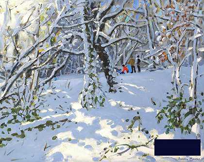 在Allestree Woods玩圣诞雪橇 -安德鲁·马卡拉- 4688×3720px ✺