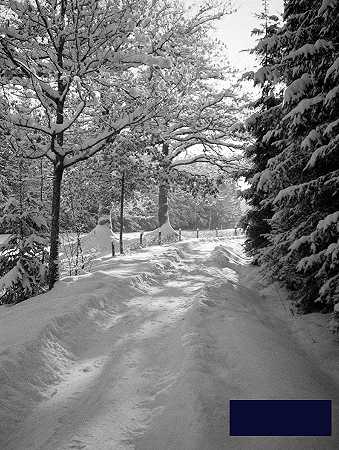 冬季风景圣诞卡 -德国学校- 3616×4792px ✺