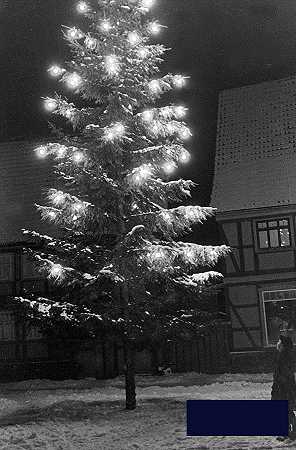 圣诞树 -德国学校- 3239×4912px ✺