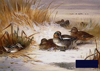 冬天，绿头鸭维珍和鹬在池塘边 -阿奇博尔德·索伯恩- 6512×4608px ✺