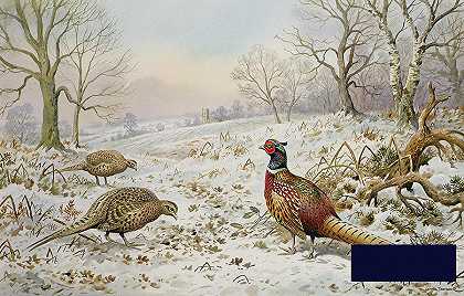雪景中的野鸡和鹧鸪 -卡尔·唐纳- 5654×3620px ✺