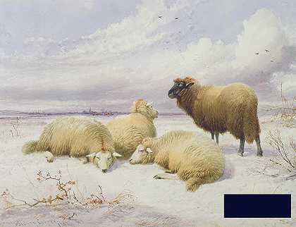 雪地里的羊 -托马斯·西德尼·库珀- 5093×3916px ✺