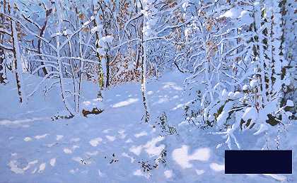 11月下雪，艾尔斯特里·伍兹，德比 -安德鲁·马卡拉- 5039×3124px ✺