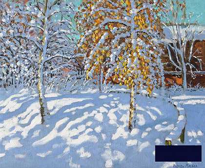 冬天的金叶，诺曼顿，德比 -安德鲁·马卡拉- 4191×3454px ✺