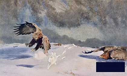 《老鹰与兔子》，1922年 -布鲁诺·安德烈亚斯·利杰福斯- 6366×3853px ✺