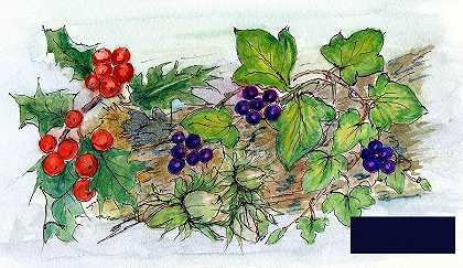常春藤、冬青和榛子的原木 -内尔山- 2231×1296px ✺