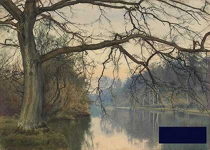 河岸上的一棵大树 -威廉·弗雷泽花园酒店- 4888×3518px ✺