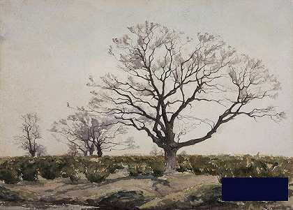 树 -亨利·杜哈姆- 5293×3800px ✺