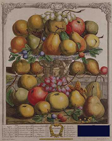 《十二个月的果实》中的12月，由罗伯特·弗伯（Robert Furber）于1674-1756年由亨利·弗莱彻（Henry Fletcher）雕刻 -彼得卡斯特尔酒店- 4263×5378px ✺