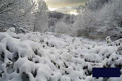 冬季日出林地的深雪 -未知的- 6144×4111px ✺
