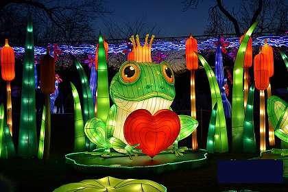 冬季元宵节，青蛙与心 -安东尼·布特拉- 4608×3072px ✺