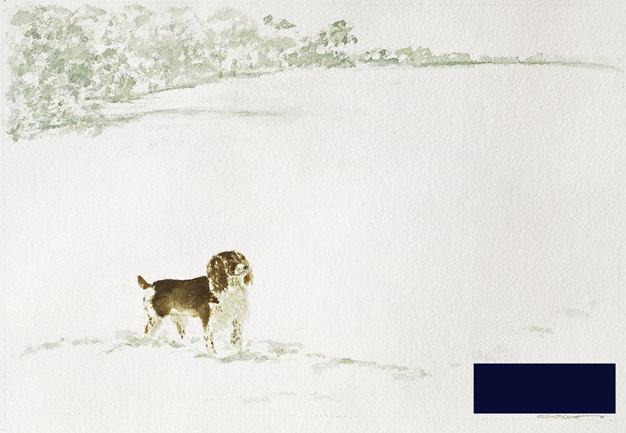 雪地里的斯普林格猎犬 -苏西·肯尼特- 6139×4252px ✺