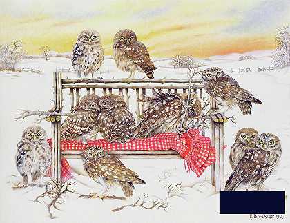 小猫头鹰在树枝长凳上 -Eb瓦特- 5586×4309px ✺