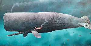 2021的《智慧鲸与少女》 by Sylvain Lefebvre
