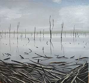 溢流湖，2005年 by Michael Brophy