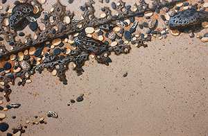 岩石和沙子#812019 by Jamey Brzezinski
