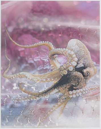 章鱼，2009年 by Jim Shaw